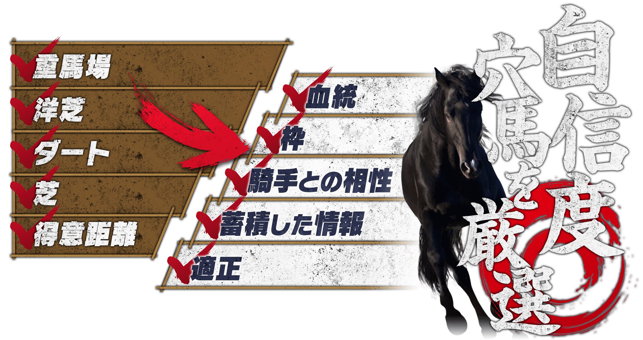 自信度◎穴馬を厳選