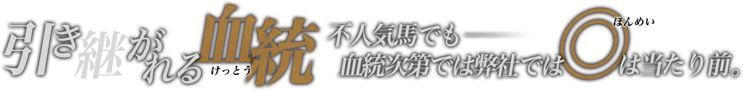 引き継がれる血筋　不人気馬でも血統次第では弊社では◎は当たり前。